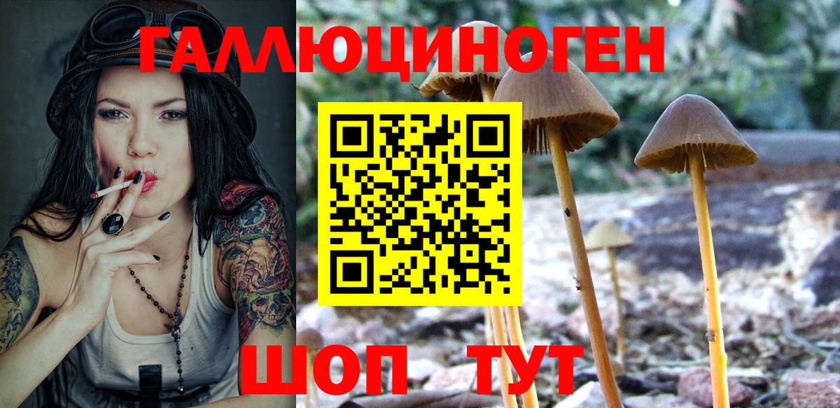 Верхняя Салда  Псилоцибиновые грибы мицелий  Вход с VPN 